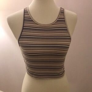 American Eagle Outfitters Multicolor Striped Crop Top
